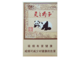 香烟盒高端带打火的